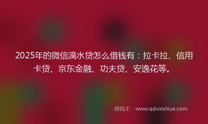 2025年的微信滴水贷怎么借钱有：拉卡拉、信用卡贷、京东金融、功夫贷、安逸花等。