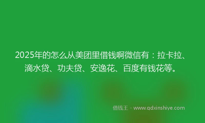 2025年的怎么从美团里借钱啊微信有：拉卡拉、滴水贷、功夫贷、安逸花、百度有钱花等。