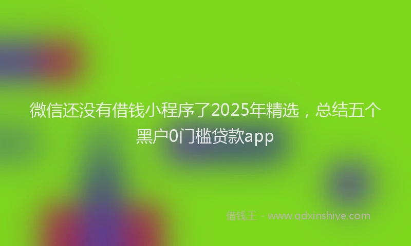 微信还没有借钱小程序了2025年精选，总结五个黑户0门槛贷款app