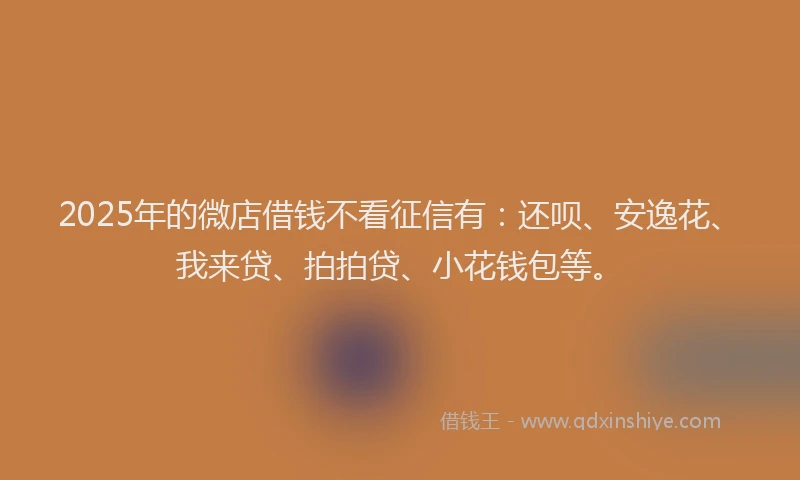 2025年的微店借钱不看征信有：还呗、安逸花、我来贷、拍拍贷、小花钱包等。