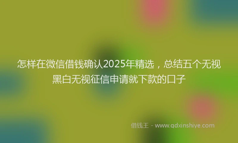 怎样在微信借钱确认2025年精选，总结五个无视黑白无视征信申请就下款的口子