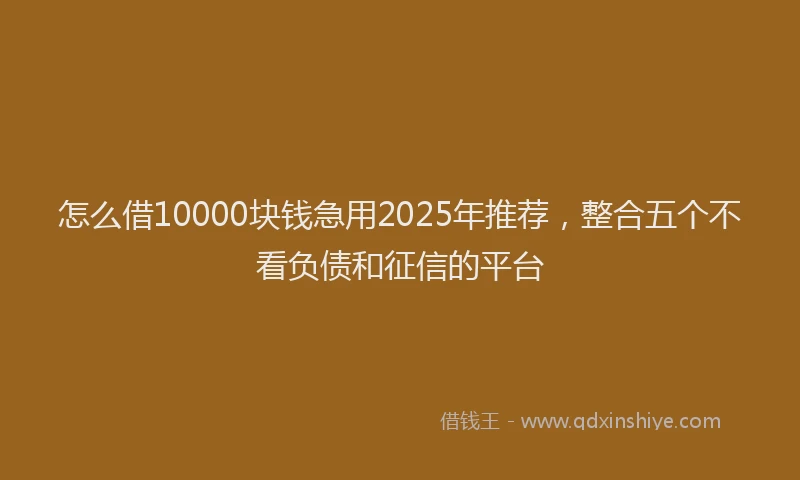 怎么借10000块钱急用2025年推荐，整合五个不看负债和征信的平台