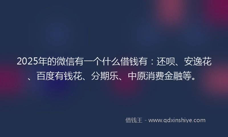 2025年的微信有一个什么借钱有：还呗、安逸花、百度有钱花、分期乐、中原消费金融等。
