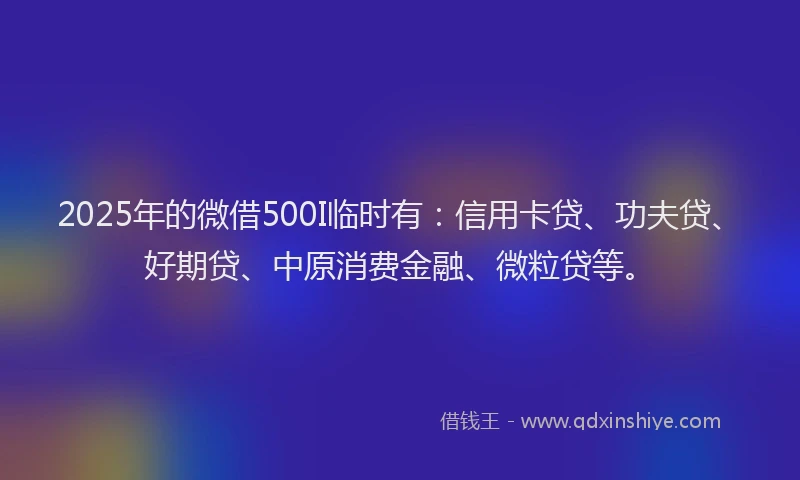 2025年的微借500I临时有：信用卡贷、功夫贷、好期贷、中原消费金融、微粒贷等。