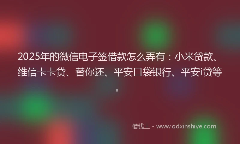 2025年的微信电子签借款怎么弄有：小米贷款、维信卡卡贷、替你还、平安口袋银行、平安i贷等。