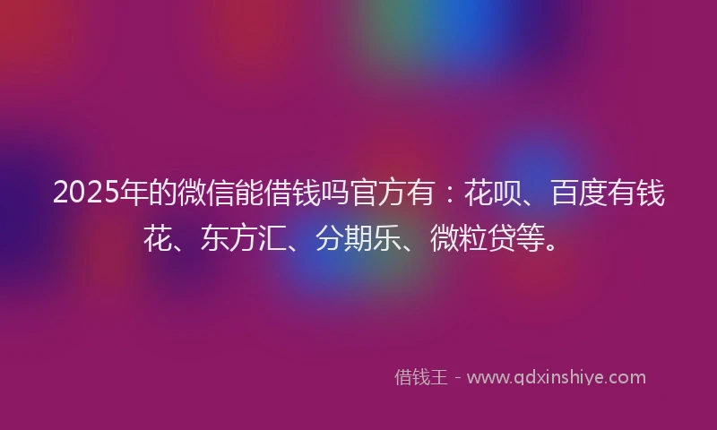 2025年的微信能借钱吗官方有：花呗、百度有钱花、东方汇、分期乐、微粒贷等。