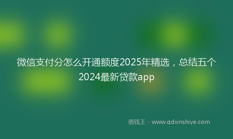 微信支付分怎么开通额度2025年精选，总结五个2024最新贷款app