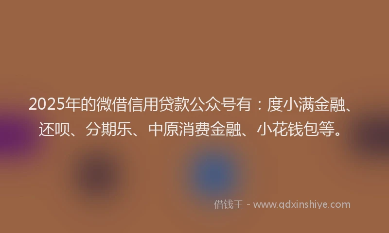 2025年的微借信用贷款公众号有：度小满金融、还呗、分期乐、中原消费金融、小花钱包等。