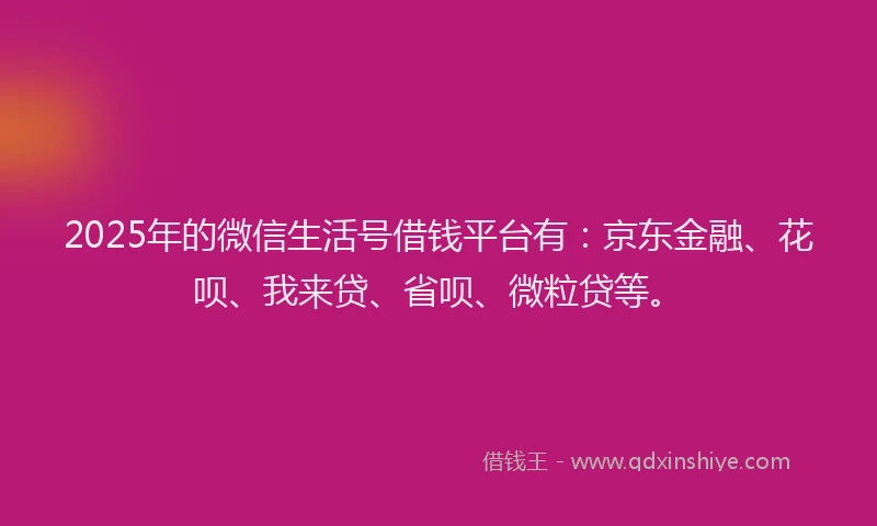 2025年的微信生活号借钱平台有：京东金融、花呗、我来贷、省呗、微粒贷等。