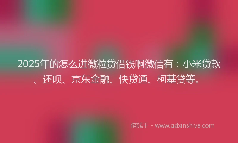 2025年的怎么进微粒贷借钱啊微信有：小米贷款、还呗、京东金融、快贷通、柯基贷等。