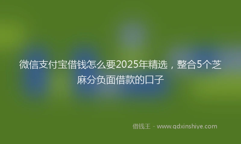 微信支付宝借钱怎么要2025年精选，整合5个芝麻分负面借款的口子