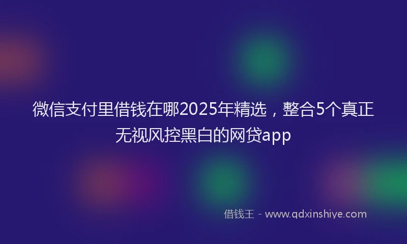 微信支付里借钱在哪2025年精选，整合5个真正无视风控黑白的网贷app