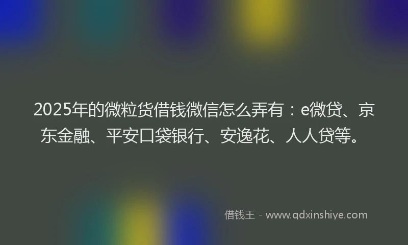 2025年的微粒货借钱微信怎么弄有：e微贷、京东金融、平安口袋银行、安逸花、人人贷等。