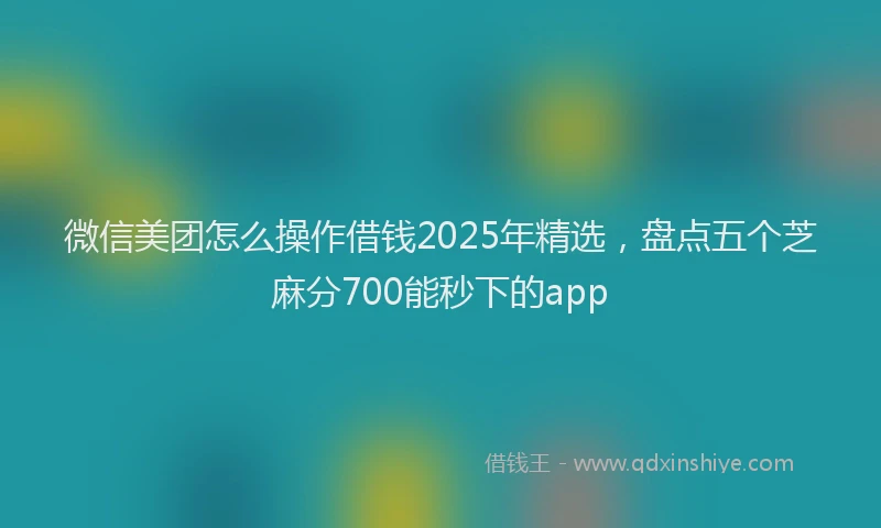 微信美团怎么操作借钱2025年精选，盘点五个芝麻分700能秒下的app