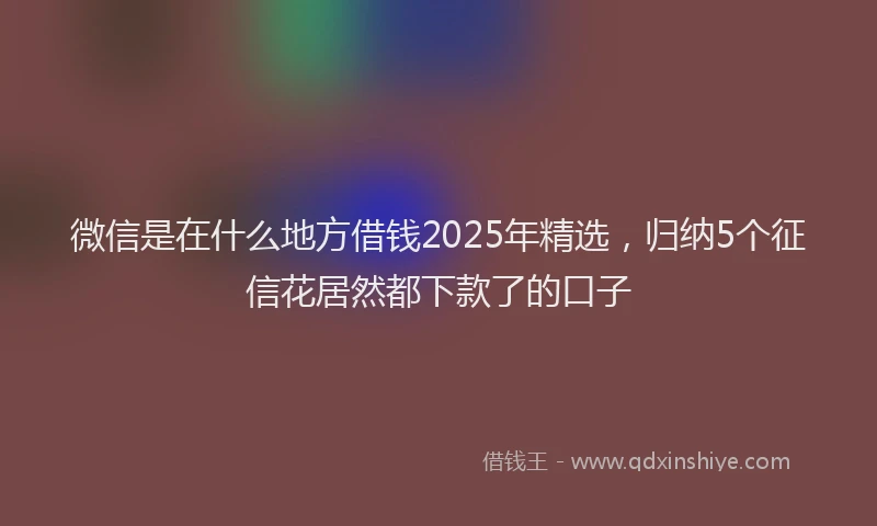 微信是在什么地方借钱2025年精选，归纳5个征信花居然都下款了的口子