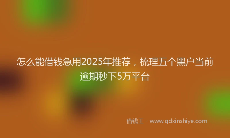 怎么能借钱急用2025年推荐，梳理五个黑户当前逾期秒下5万平台