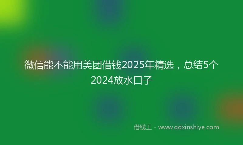 微信能不能用美团借钱2025年精选，总结5个2024放水口子