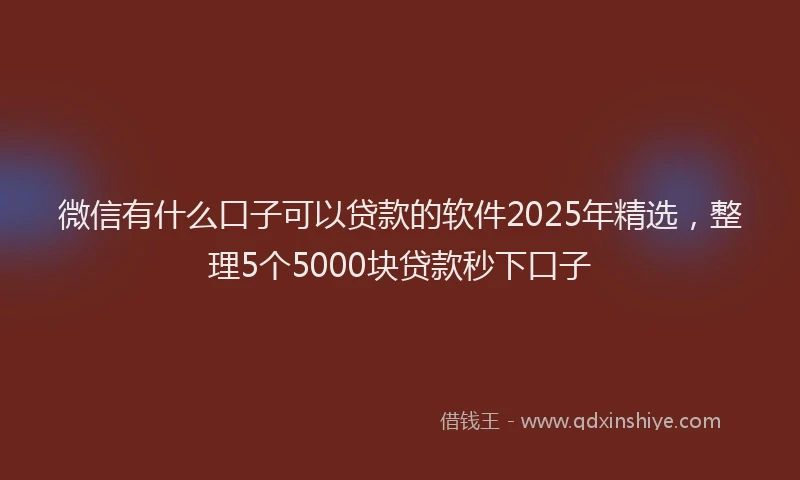 微信有什么口子可以贷款的软件2025年精选，整理5个5000块贷款秒下口子