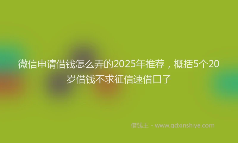 微信申请借钱怎么弄的2025年推荐，概括5个20岁借钱不求征信速借口子