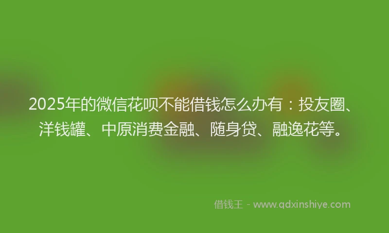 2025年的微信花呗不能借钱怎么办有：投友圈、洋钱罐、中原消费金融、随身贷、融逸花等。