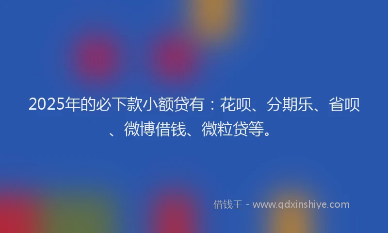 2025年的必下款小额贷有：花呗、分期乐、省呗、微博借钱、微粒贷等。
