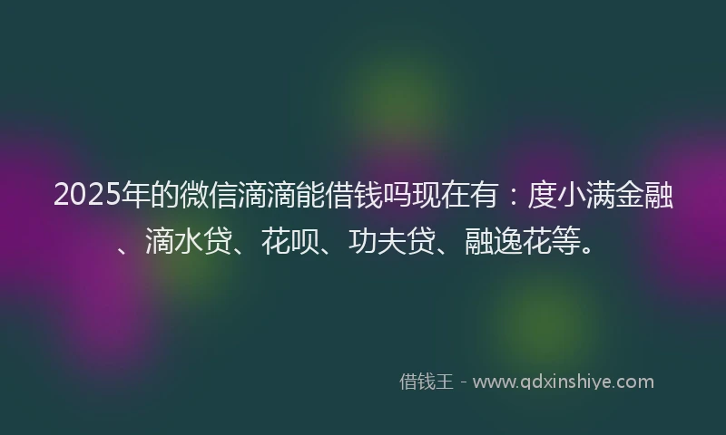 2025年的微信滴滴能借钱吗现在有：度小满金融、滴水贷、花呗、功夫贷、融逸花等。