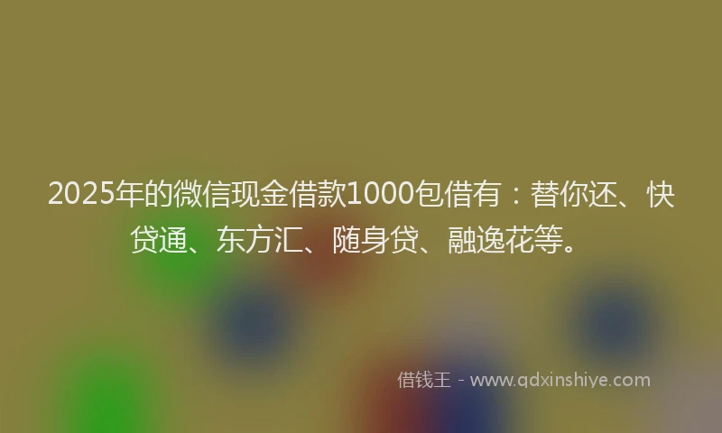 2025年的微信现金借款1000包借有：替你还、快贷通、东方汇、随身贷、融逸花等。