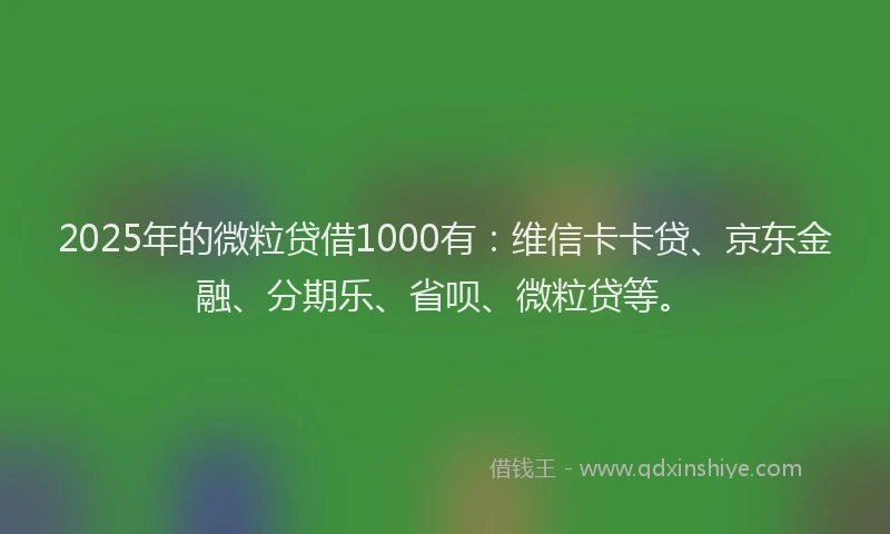2025年的微粒贷借1000有：维信卡卡贷、京东金融、分期乐、省呗、微粒贷等。