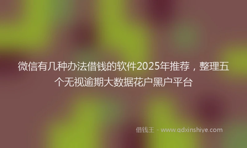 微信有几种办法借钱的软件2025年推荐，整理五个无视逾期大数据花户黑户平台