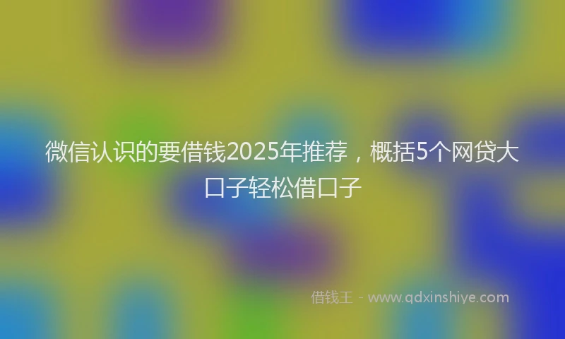 微信认识的要借钱2025年推荐，概括5个网贷大口子轻松借口子