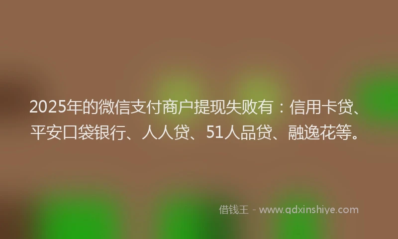 2025年的微信支付商户提现失败有：信用卡贷、平安口袋银行、人人贷、51人品贷、融逸花等。
