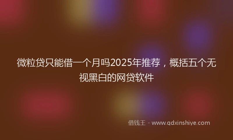 微粒贷只能借一个月吗2025年推荐，概括五个无视黑白的网贷软件