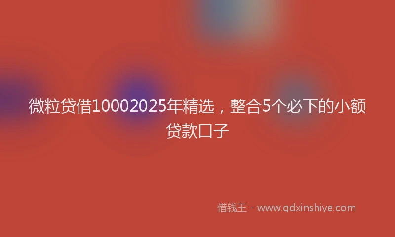 微粒贷借10002025年精选，整合5个必下的小额贷款口子