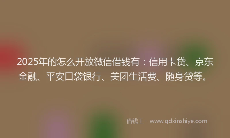 2025年的怎么开放微信借钱有：信用卡贷、京东金融、平安口袋银行、美团生活费、随身贷等。