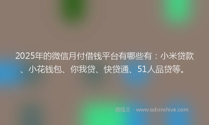 2025年的微信月付借钱平台有哪些有：小米贷款、小花钱包、你我贷、快贷通、51人品贷等。