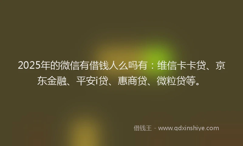 2025年的微信有借钱人么吗有：维信卡卡贷、京东金融、平安i贷、惠商贷、微粒贷等。