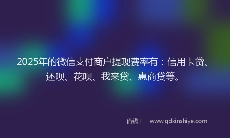2025年的微信支付商户提现费率有：信用卡贷、还呗、花呗、我来贷、惠商贷等。