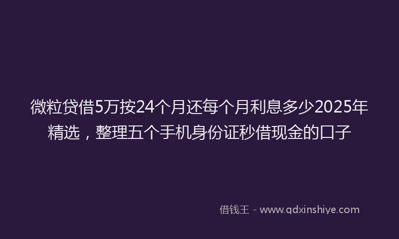微粒贷借5万按24个月还每个月利息多少2025年精选，整理五个手机身份证秒借现金的口子