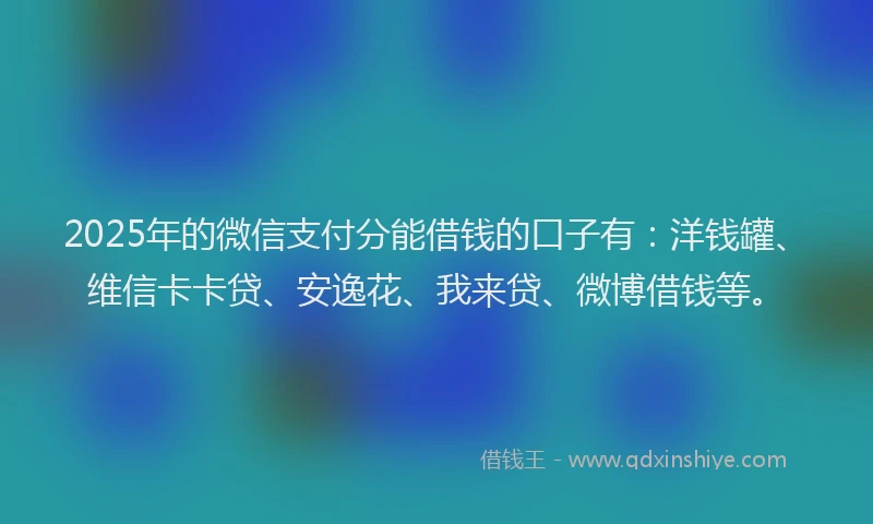 2025年的微信支付分能借钱的口子有：洋钱罐、维信卡卡贷、安逸花、我来贷、微博借钱等。