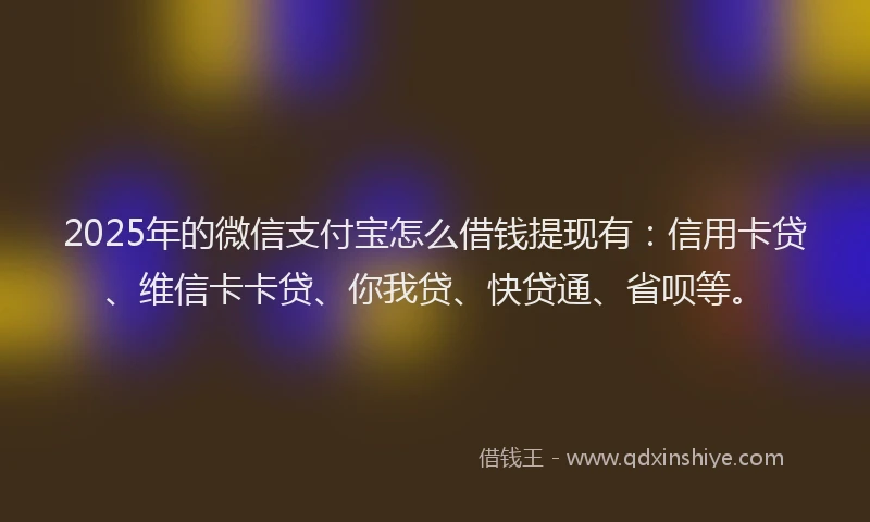 2025年的微信支付宝怎么借钱提现有：信用卡贷、维信卡卡贷、你我贷、快贷通、省呗等。