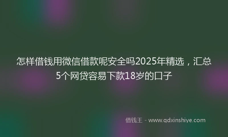 怎样借钱用微信借款呢安全吗2025年精选，汇总5个网贷容易下款18岁的口子