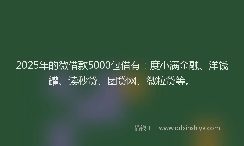 2025年的微借款5000包借有：度小满金融、洋钱罐、读秒贷、团贷网、微粒贷等。