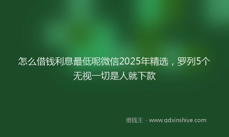 怎么借钱利息最低呢微信2025年精选，罗列5个无视一切是人就下款