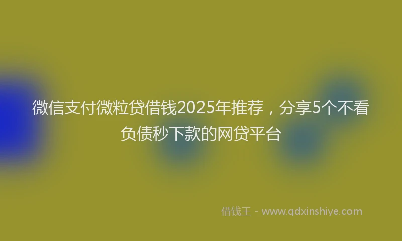 微信支付微粒贷借钱2025年推荐，分享5个不看负债秒下款的网贷平台