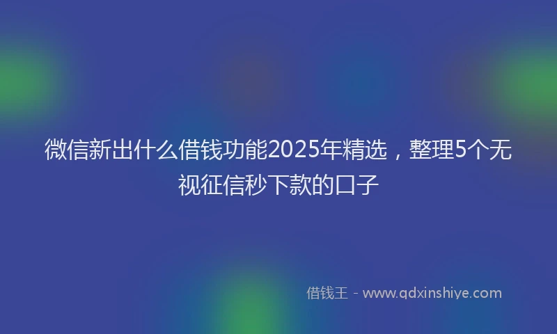 微信新出什么借钱功能2025年精选，整理5个无视征信秒下款的口子