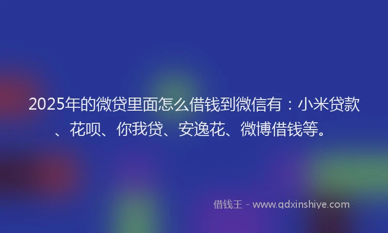 2025年的微贷里面怎么借钱到微信有：小米贷款、花呗、你我贷、安逸花、微博借钱等。