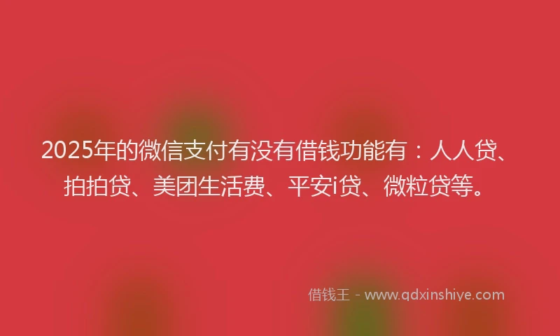 2025年的微信支付有没有借钱功能有：人人贷、拍拍贷、美团生活费、平安i贷、微粒贷等。