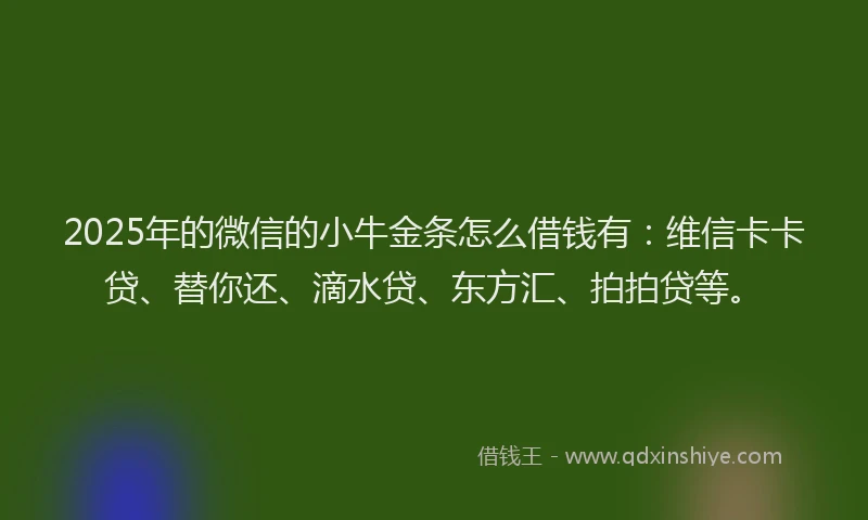 2025年的微信的小牛金条怎么借钱有：维信卡卡贷、替你还、滴水贷、东方汇、拍拍贷等。