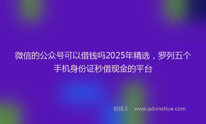 微信的公众号可以借钱吗2025年精选，罗列五个手机身份证秒借现金的平台
