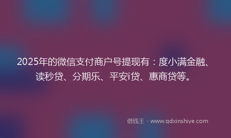 2025年的微信支付商户号提现有：度小满金融、读秒贷、分期乐、平安i贷、惠商贷等。